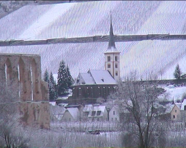 Kleines Winzerhauschen Vila Bremm Quarto foto