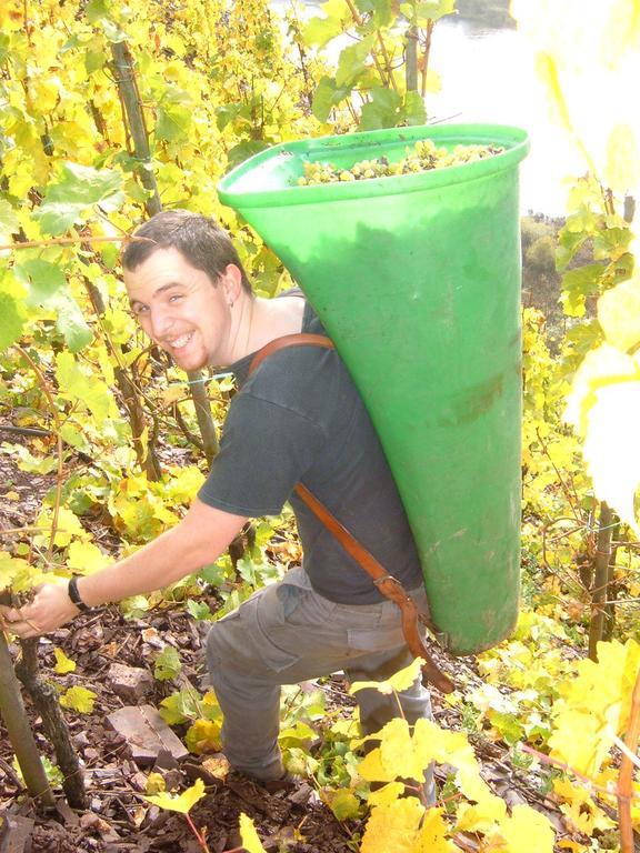 Kleines Winzerhauschen Vila Bremm Quarto foto